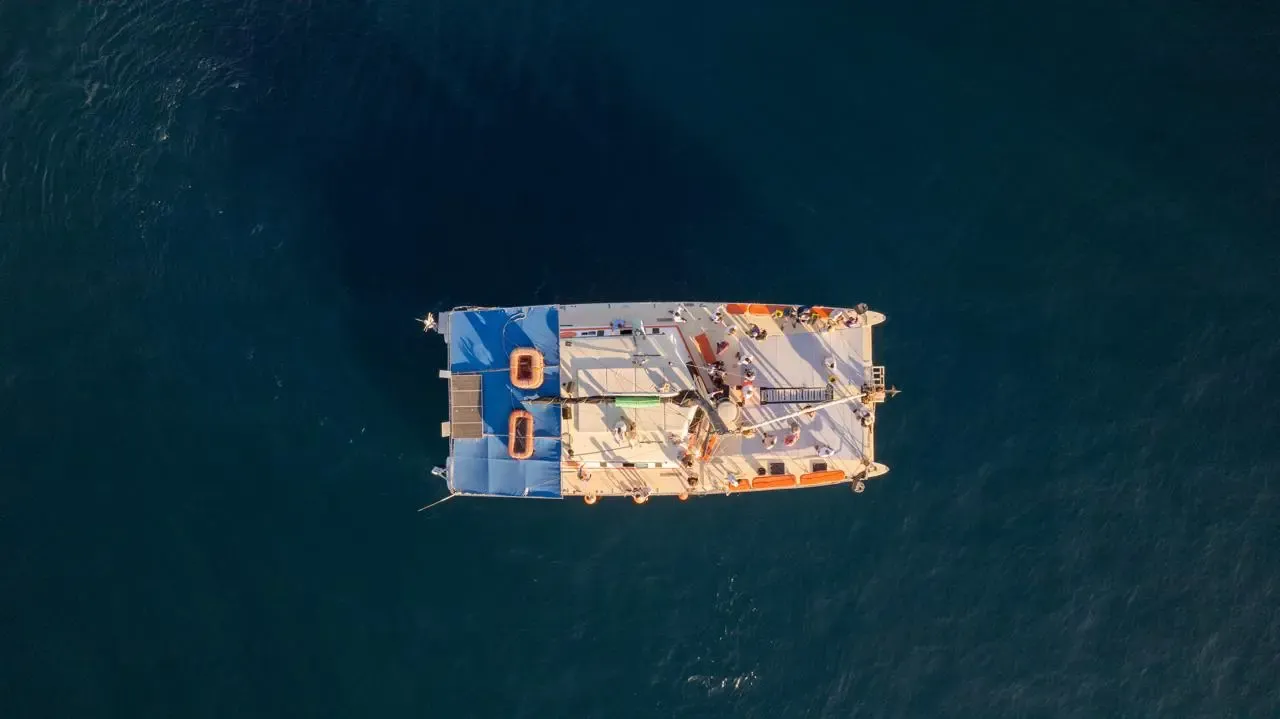 Detalle de 65 Ft Baja Blast Catamaran 2